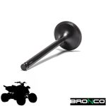 Bronco ATV Intake Valves
