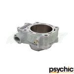 Psychic Cylinders Only (Honda/ Yamaha)
