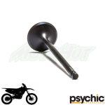 Psychic Intake Valves