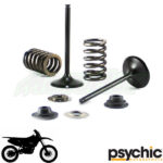 Psychic Intake Valve & Spring Kits