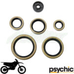 Psychic Engine Oil Seals Kits