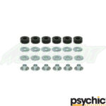 Psychic Radiator Mounting Kit